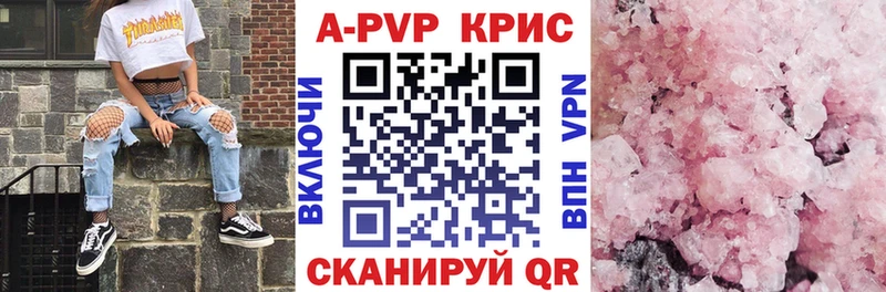 A PVP СК  Новоузенск 