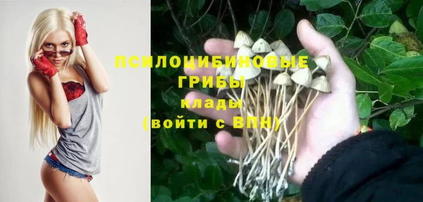 ПСИЛОЦИБИНОВЫЕ ГРИБЫ Вязьма