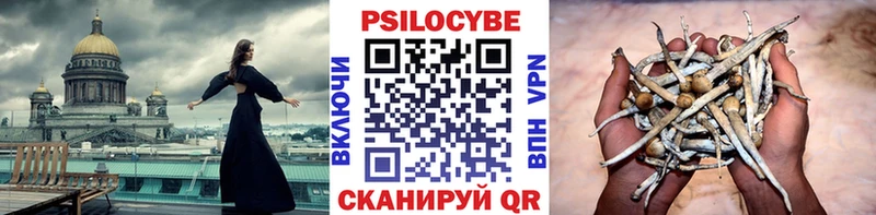 Псилоцибиновые грибы мицелий  ссылка на мегу   Новоузенск 
